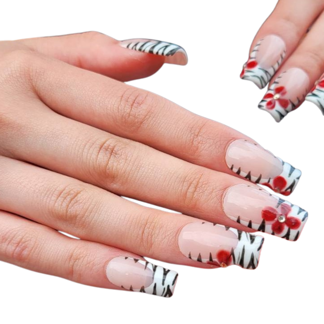 Zebra fiorita | KYIORA