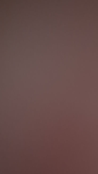 Mistletoe Frenchie | KYIORA