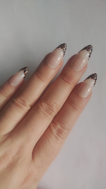 Wild Girl Frenchie | KYIORA
