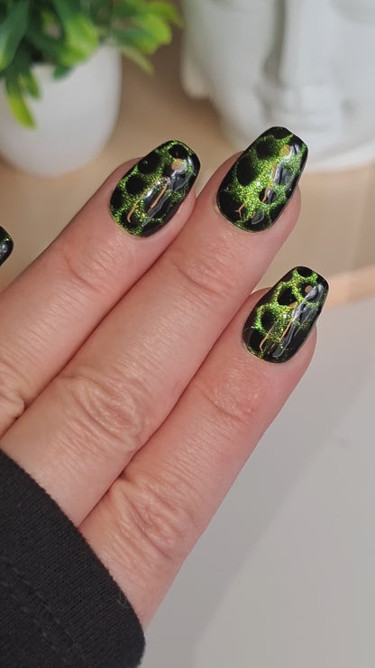 Reptilian | KYIORA
