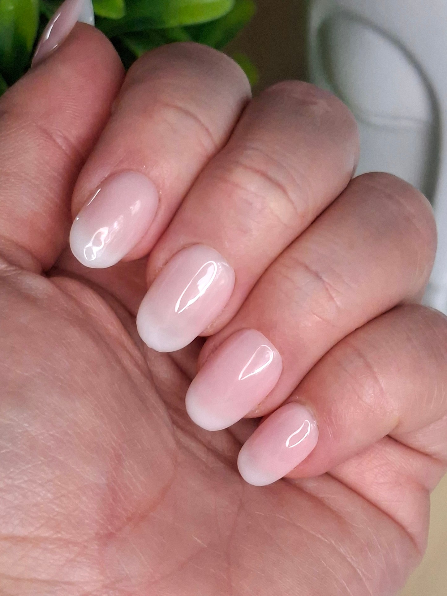 Au Natural | KYIORA