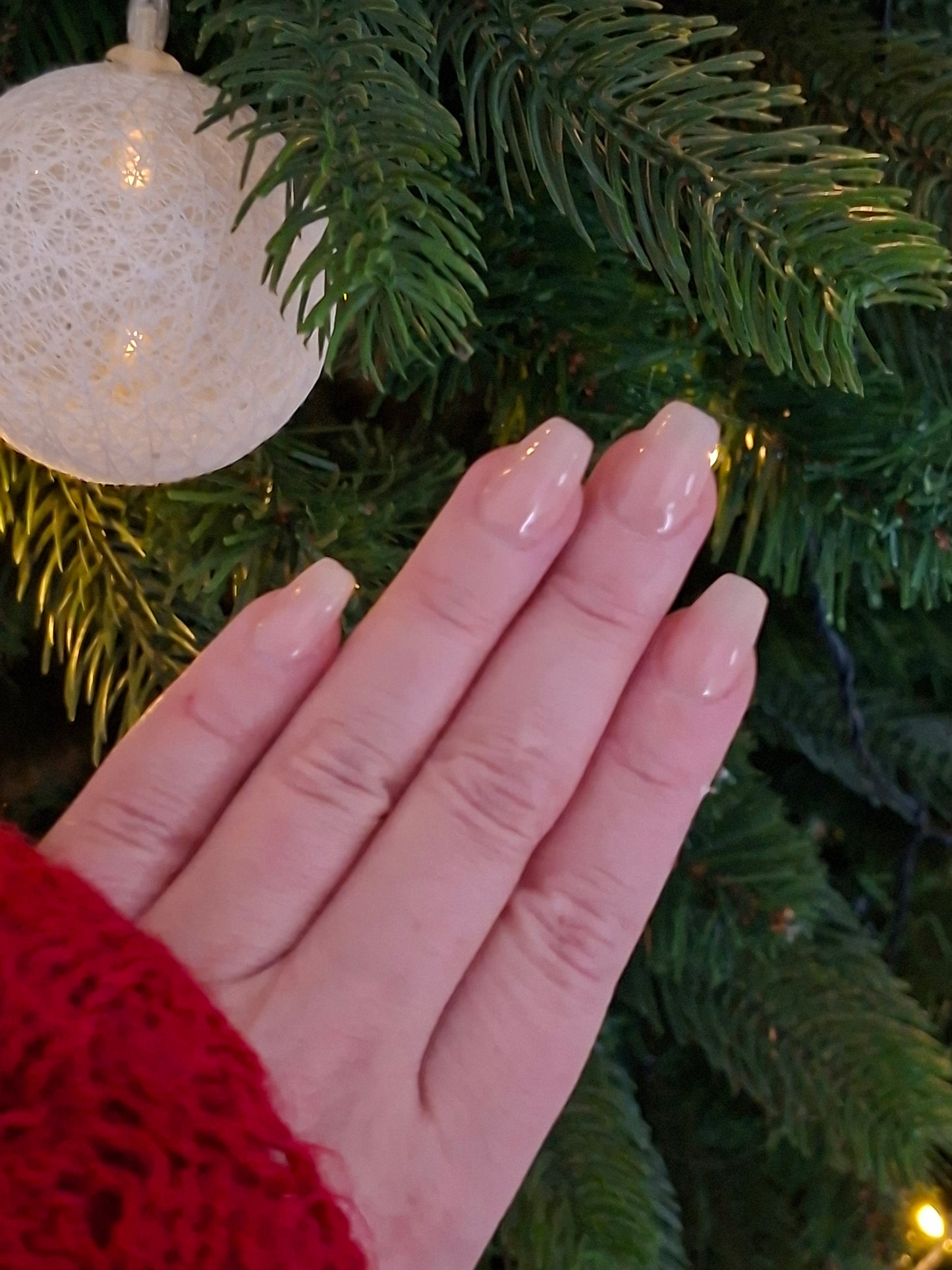 Basic Baddie | KYIORA