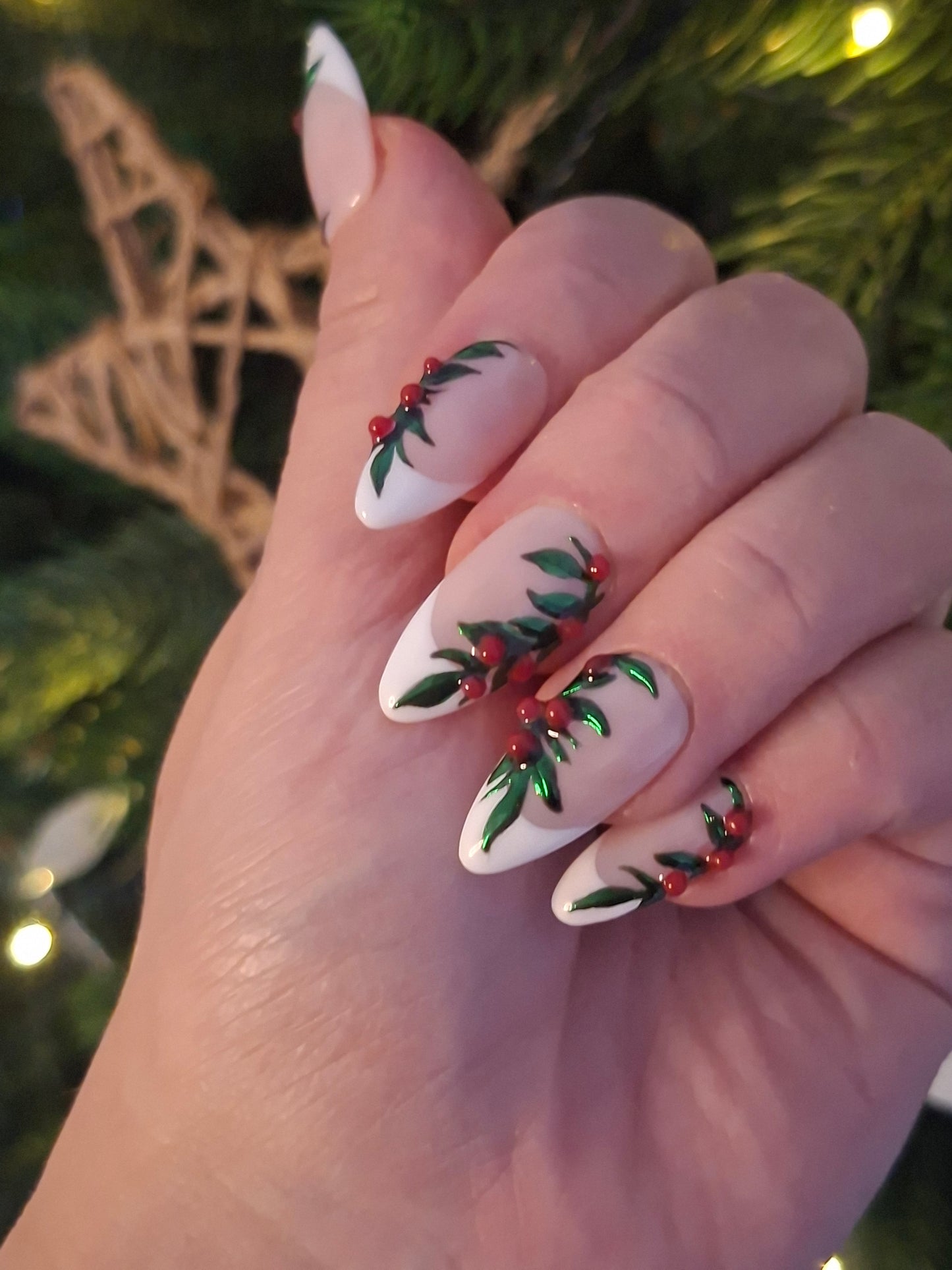 Mistletoe Frenchie | KYIORA